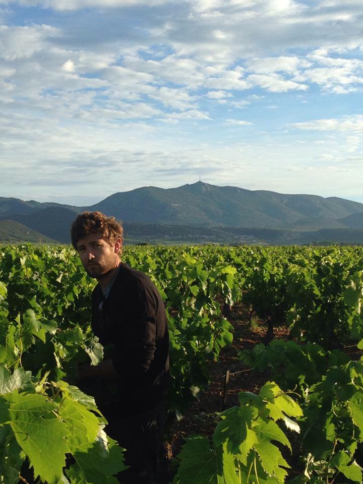 Aire camping-car  Jonquires (34725) - Photo 6